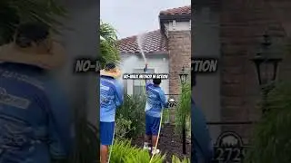 No-Walk Roof Cleaning in Action
