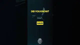 Did You Know: The City of Dwarka May Be a Sunken Civilization?