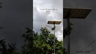 #marathi #natureshort #sanika_clicks...||#charoli