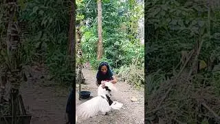 ganito ako mang asar at magpakalma ng pato