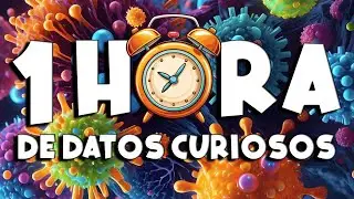 &iexcl; 1 HORA sin pausas de DATOS CURIOSOS y COSAS QUE NO SAB&Iacute;AS ! ⏰😲 692 #curioman&iacute;atv