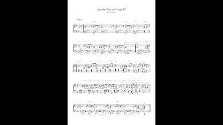 finesleap / Just the Two of Us op.28