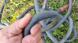 Diablo 3/8 300 psi air hose