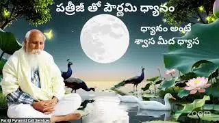 Day 12 | 41 Days Meditation Challenge | 3 Hours Meditation | పత్రీజీ తో పౌర్ణమి ధ్యానం