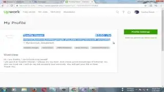 How to make 100% profile in Odesk or Upwork-2