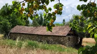 Seydikemer Ceylan Köyünde Satılık Müstakil Köy İçi 2.379 Metrekare Arazi Ev ve Bahçe. 🏡🏠🍒🍊🍋