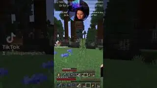 Rhynaux coming in and jumpscaring me by popping a totem #minecraft #minecraftshorts #streamclips