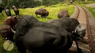 Red Dead Redemption 2: Animais Mod | Filhotes! Rumo &agrave; Floresta Perfeita and Migra&ccedil;&atilde;o de Bis&atilde;o