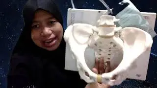 Belajar Mudah Anatomi Panggul Wanita
