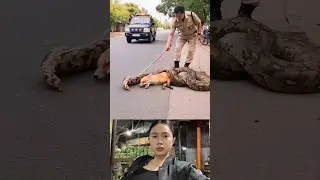 kind police #animals