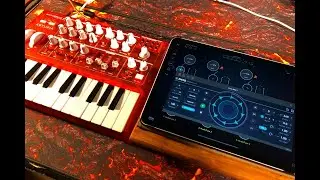 Arturia MicroBrute - Enso Audio Looper - Loads of FX - AUM Session - Live