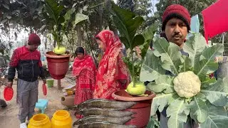 আজ পুকুরে 10 কেজী সিঙ্গি মাছ ছাড়লাম | আর সারাদিন কি কি করলাম দেখুন ||