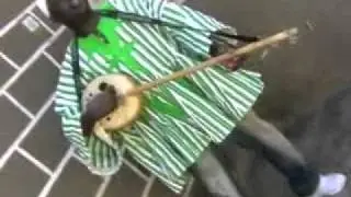 bolga amodo