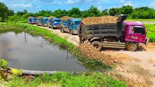 O.M.G BE CAREFUL LANDFILL TASK! By DUMP TRUCK 5TON UNLOAD & DOZER SHANTUI C3 CLEAR POUND HUGE SIZE