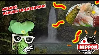 Joren Falls - taste the best wasabi (field) in Japan here  - Shizuoka by a beautiful waterfall