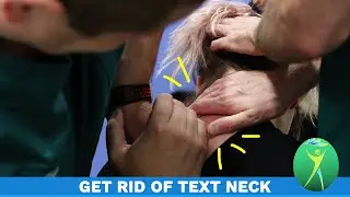 TEXT NECK: Treat the pain or avoid it!