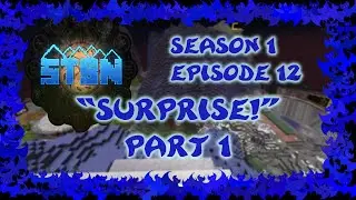 STBNS1E12: 