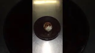 Chef Damien Piochon with Domaine de la Tortiniere for Essential Europe Travel