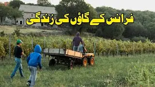 France village life documentary in Urdu and Hindi