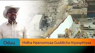 Hidha Haaroomsaa Guddicha Itiyoophiyaa