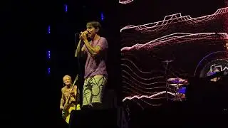 Red Hot Chili Peppers - Scar Tissue - JUN 2 2024 Toyota Amphitheatre, Wheatland, CA, USA