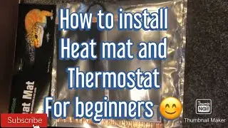 Setting up a reptile heat Mat with  stat (thermostat) for beginners #reptiles #tutorial