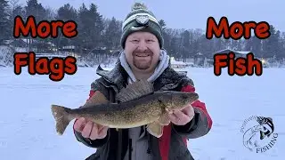 Ice Fishing Walleye with Tip-Ups | How to set tip-ups to get more flags