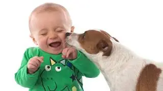 Two Front Teeth Photography- Some Of Our Pictures