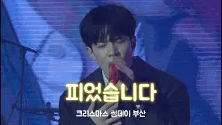 251227 피었습니다(편곡) | 대부분 회승(세로캠) | 크리스마스 썸데이 부산