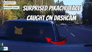 Surprised pikachu face caught on dashcam | Idiots in Cars 25 |