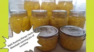 Making shelf stable fresh mango to enjoy all year round..waterbath canning and mythbusting hacks