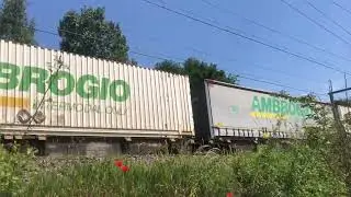 40135  Muizen - Candiolo DE 6306 et BLS 475 418 AMBROGIO ( Partie 2 )