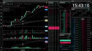 WHAT I WISH I KNEW ABOUT PRICE ACTION & VOLUME - Beginner Day Trading