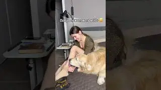 Чтобы не развалиться после 30 😂
