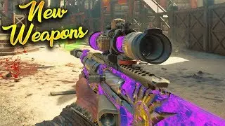 The NEW M16 and HAVELINA AA50 Weapons (BO4 Zombies)