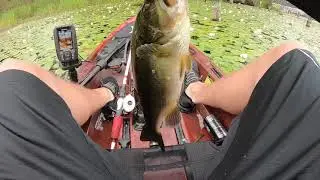 Washington bass fishing!!!!!! Clear lake Sedro Woolley!!!