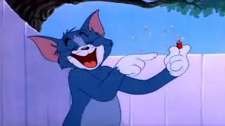 Tom And Jerry Laugh Compilation 2025