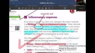 Ch 24 body defence mechanism