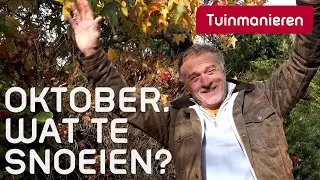Wat te snoeien in oktober | Tuinmanieren