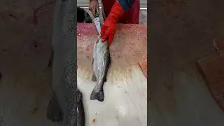 Quick & Easy Way To Clean a Trout