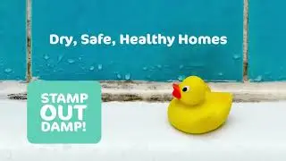 Damp and Mould Prevention Tips