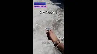 prediction of DC v/s RR || like and subscribe