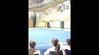 MJ Floor