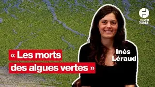 Inès Léraud fait un point sur les algues vertes