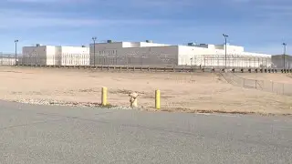 Calls for ICE detention facility oversight continue