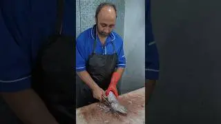 Terrifying Spiny Fish Butchered Like a Pro &ndash; Lizardfish