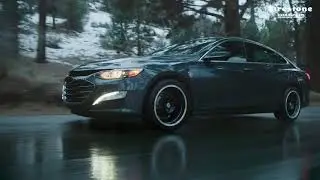 Champion | Firestone Tires