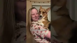 Идеальный подарок для хозяйки собаки: пижама Cuddle Clones 🐶👕