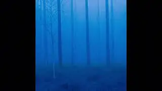 where?? - Absence