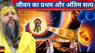 जीवन का प्रथम और अंतिम सत्य। प्रेमानंद महाराज के प्रवचन। प्रेमानंद महाराज